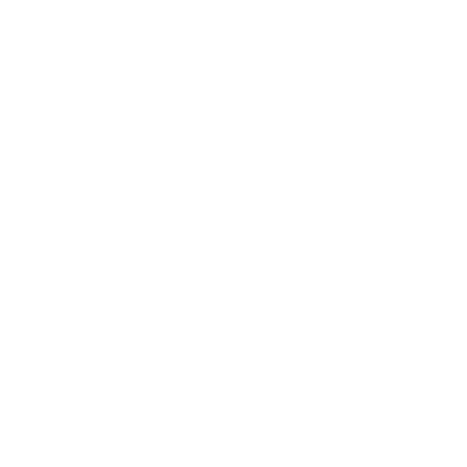 Sws Agency Srl
